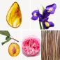 Preview: Duftnoten: Amber, Schwertlilie, Pflaume, Rose, Vetiver Preview: Duftnoten: Amber, Schwertlilie, Pflaume, Rose, Vetiver